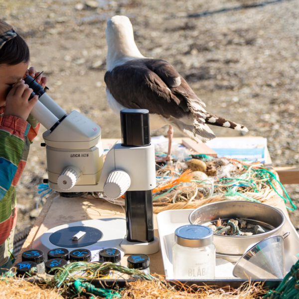 A kid exploring how microplastics look under the microscope